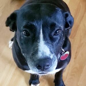 Fundraising Page: Lua Liegl